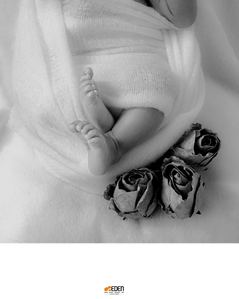 Portfolio Image 20